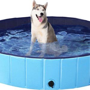 Yaheetech Foldable Outdoor Hard Plastic Dog & Cat Swimming Pool